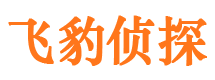 临沭外遇出轨调查取证